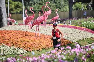 BIB: 
                            <button type="button" onclick="openModal(27793242)" class="btn btn-primary btn-sm float-right btn-popup" data-toggle="modal" data-target=".modal-high-quality">
                        <i class="fas fa-shopping-cart"></i> Add to Cart
                    </button>
                                            <button type="button" onclick="isThisMe(27793242, true)" class="btn btn-success btn-sm float-right btn-popup btn-isme hidden" data-toggle="tooltip" data-placement="bottom" title="นี่คือรูปของคุณใช่ไหม คลิกที่นี่เพื่อเอาเข้าอัลบั้ม">
                        <i class="fas fa-plus"></i> Add to album
                    </button>
                    <button type="button" onclick="isThisMe(27793242, false)" class="btn btn-warning btn-sm float-right btn-popup btn-isnotme hidden">
                        <i class="fas fa-ban"></i> Remove from album
                    </button>